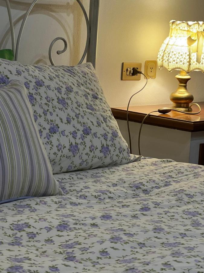 Casa Lucio Lejlighed Grosseto Eksteriør billede